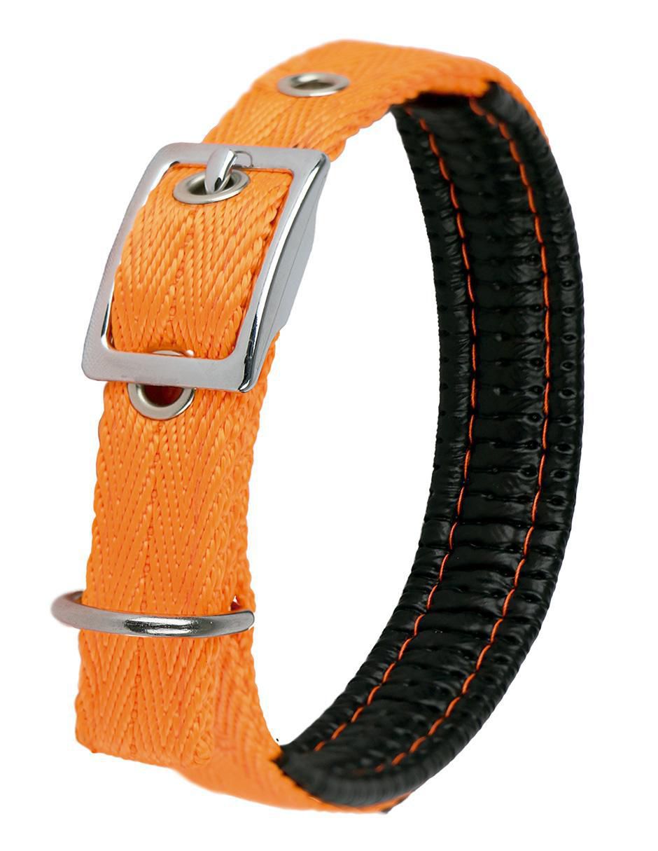 Correa y collar de poliéster para perro 2