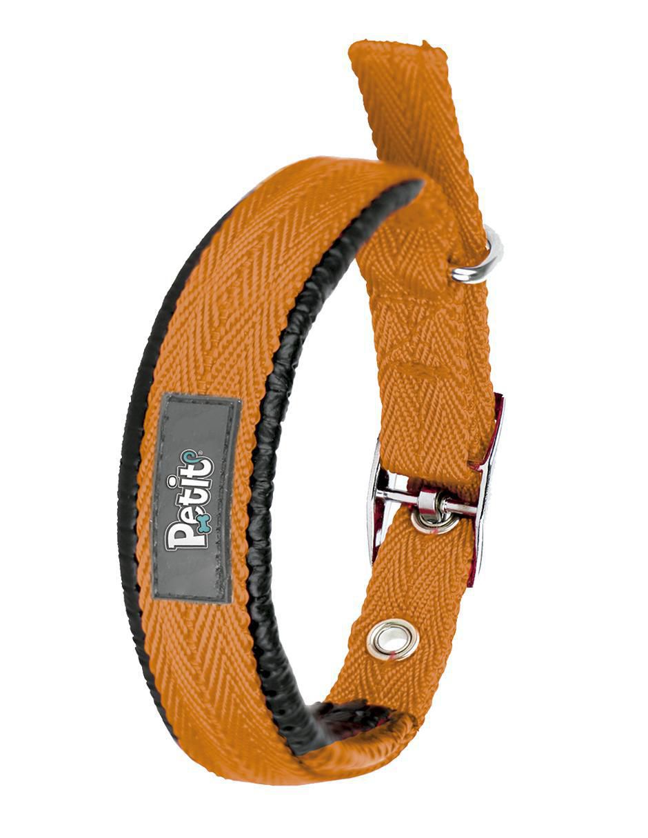 Correa y collar de poliéster para perro 3