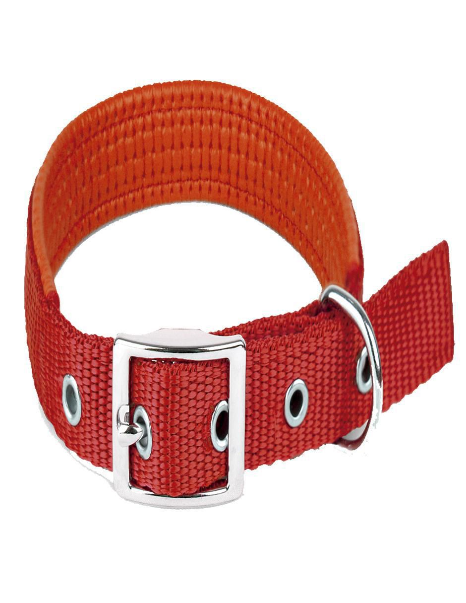Correa y collar de poliéster para perro 3