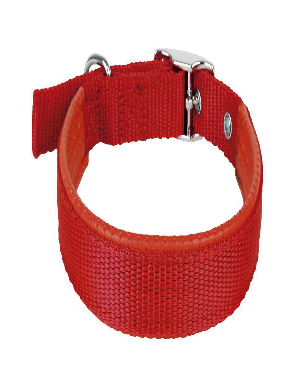 Correa y collar de poliéster para perro 4