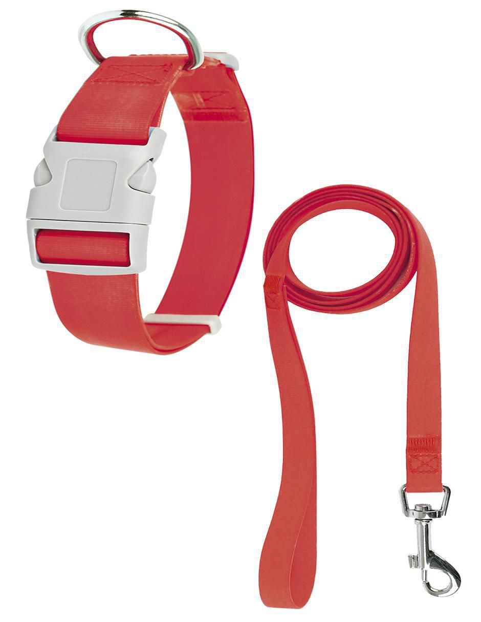 Correa y collar de poliéster para perro Correa y collar de poliéster para perro