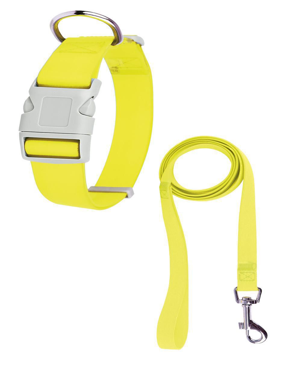 Correa y collar de poliéster para perro