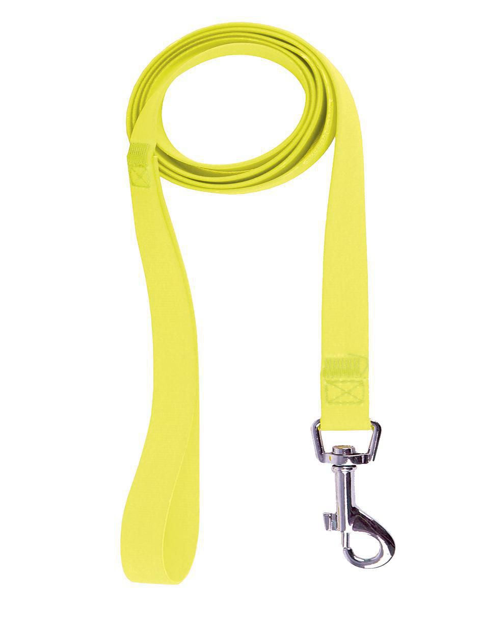 Correa y collar petits "de" poliéster "para" perro