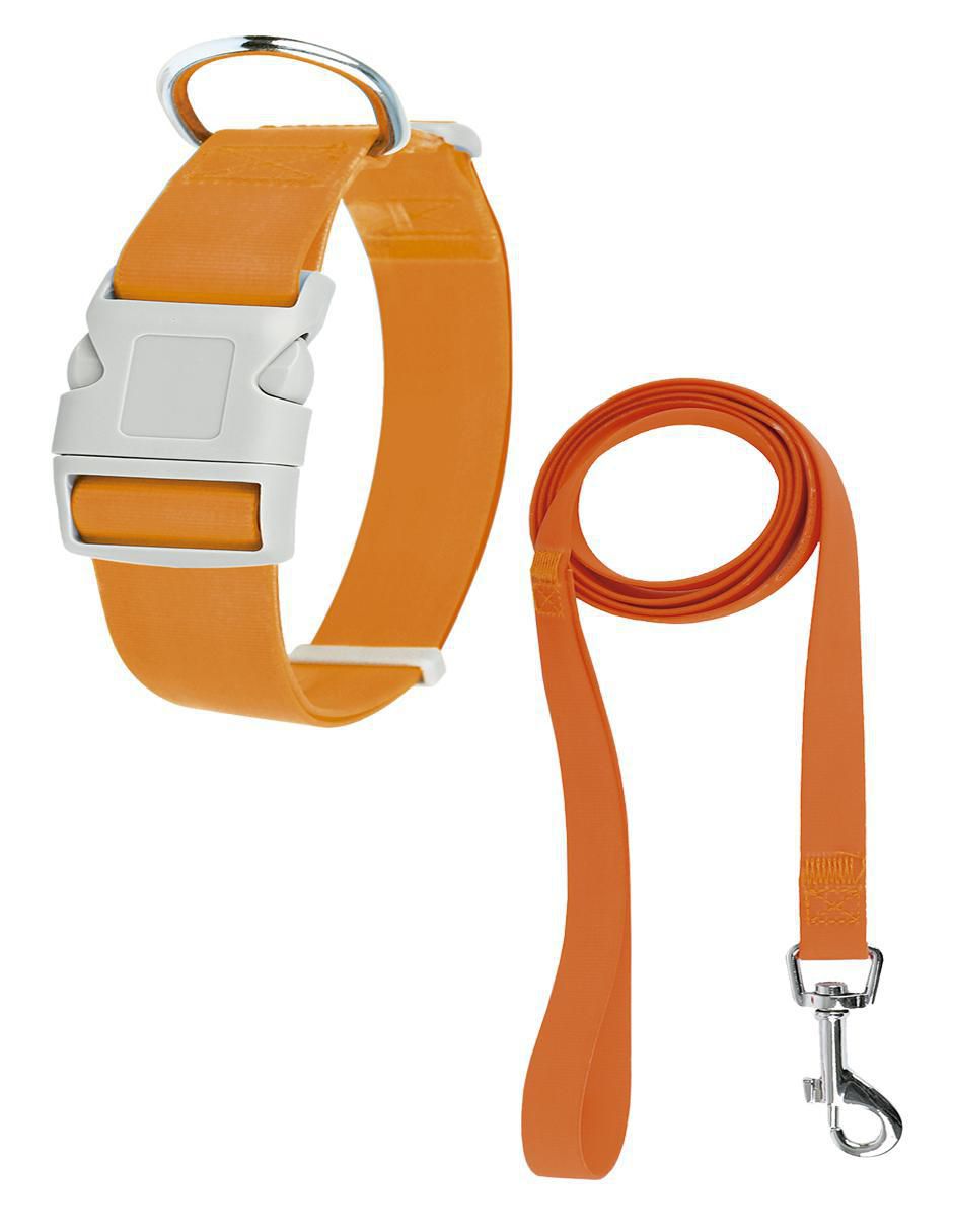 Correa y collar de poliéster para perro Correa y collar de poliéster para perro