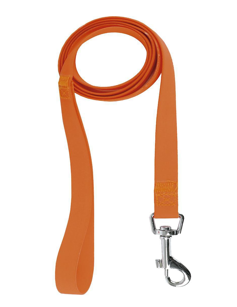 Correa y collar de poliéster para perro 3