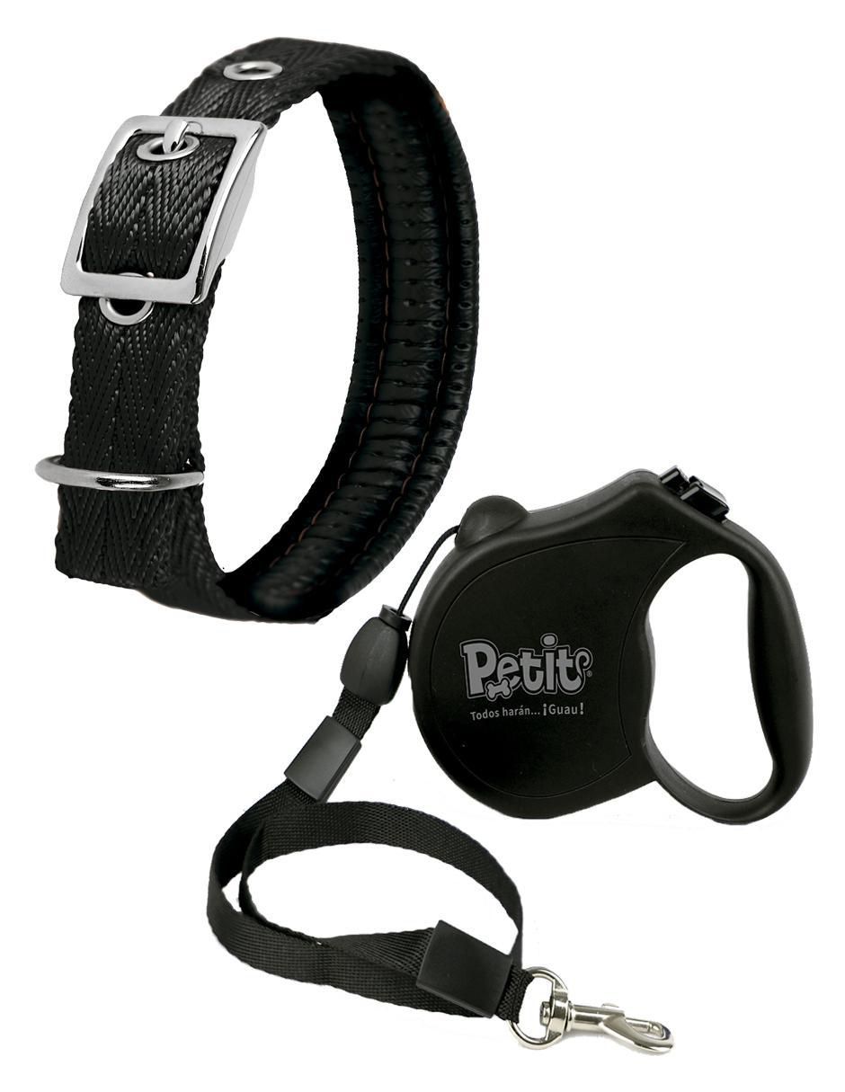 Correa y collar para perro Correa y collar para perro
