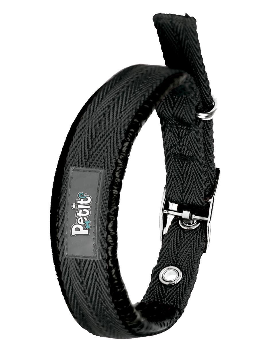 Correa y collar para perro 2
