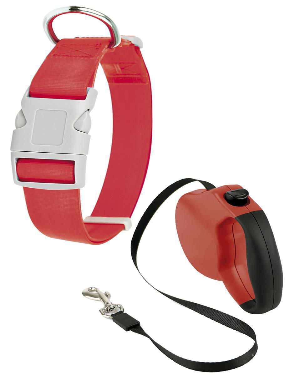 Correa y collar para perro Correa y collar para perro
