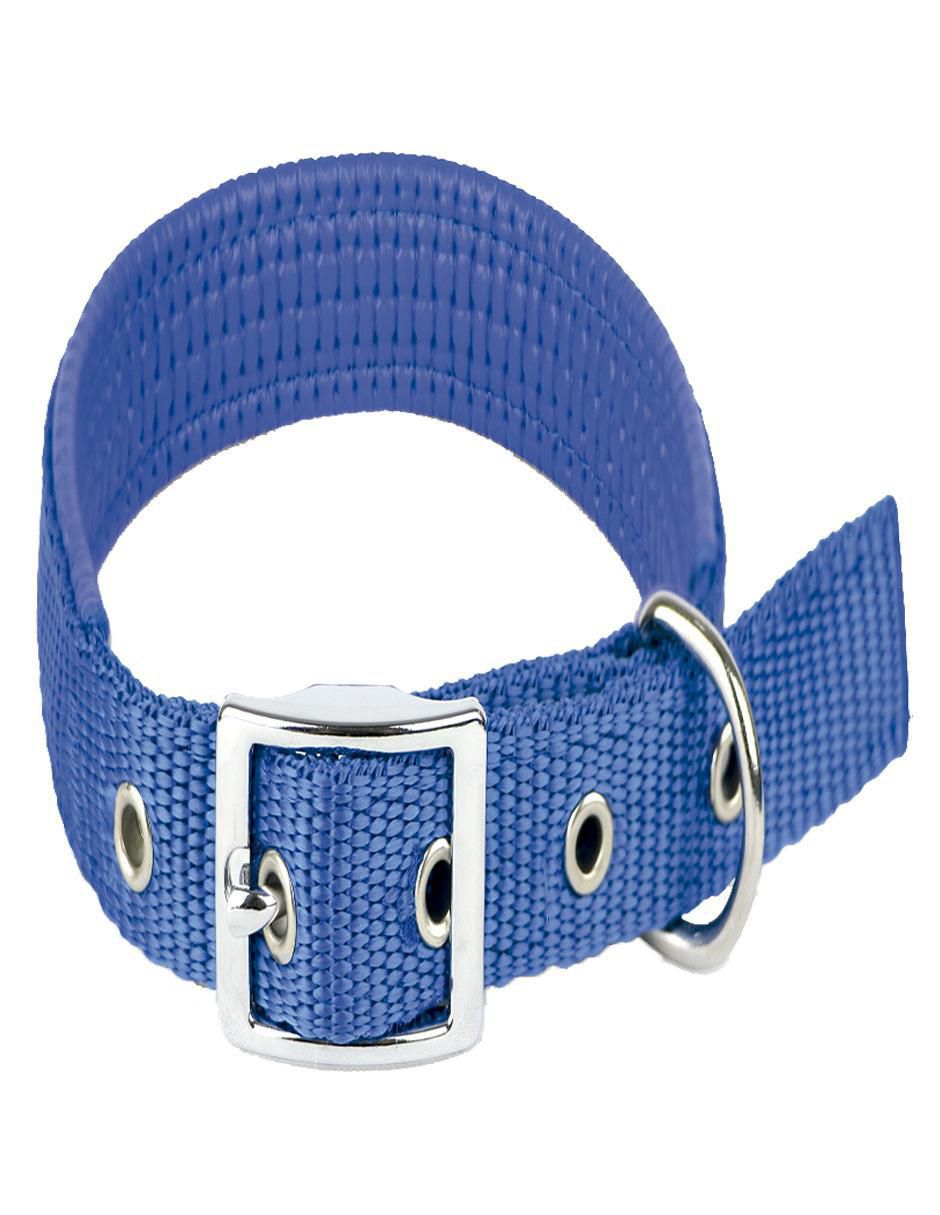 Correa y collar para perro 2
