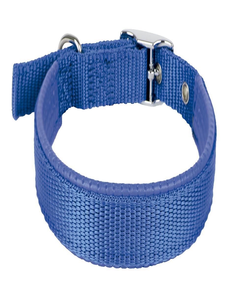 Correa y collar para perro 3