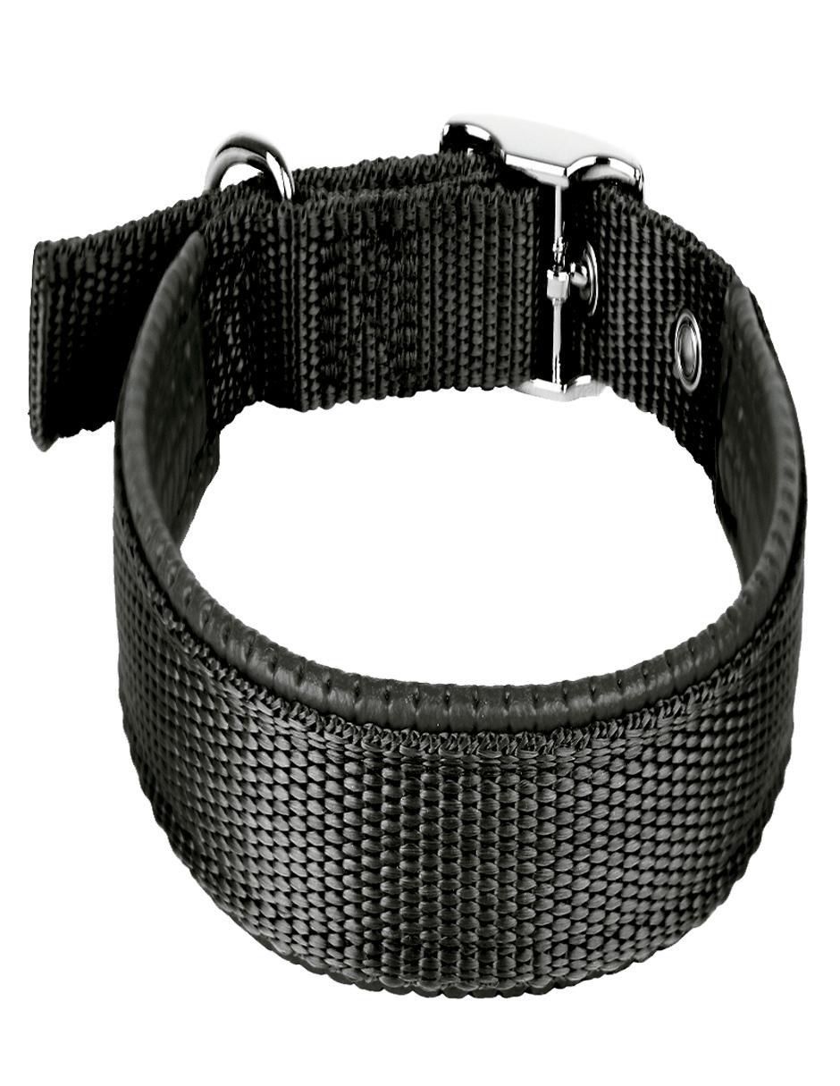 Correa y collar petits "de" poliéster "para" perro