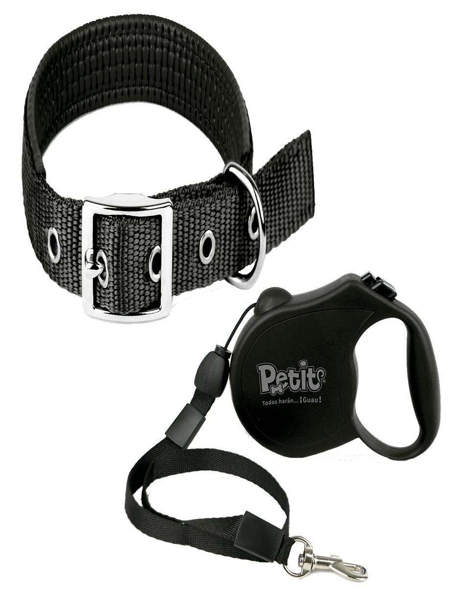 Correa y collar para perro Correa y collar para perro