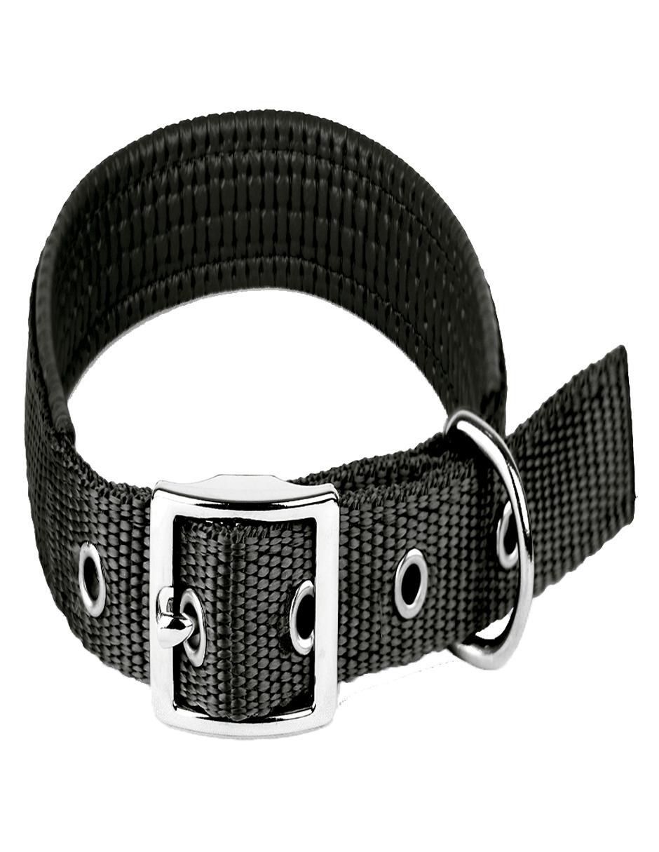 Correa y collar para perro 2