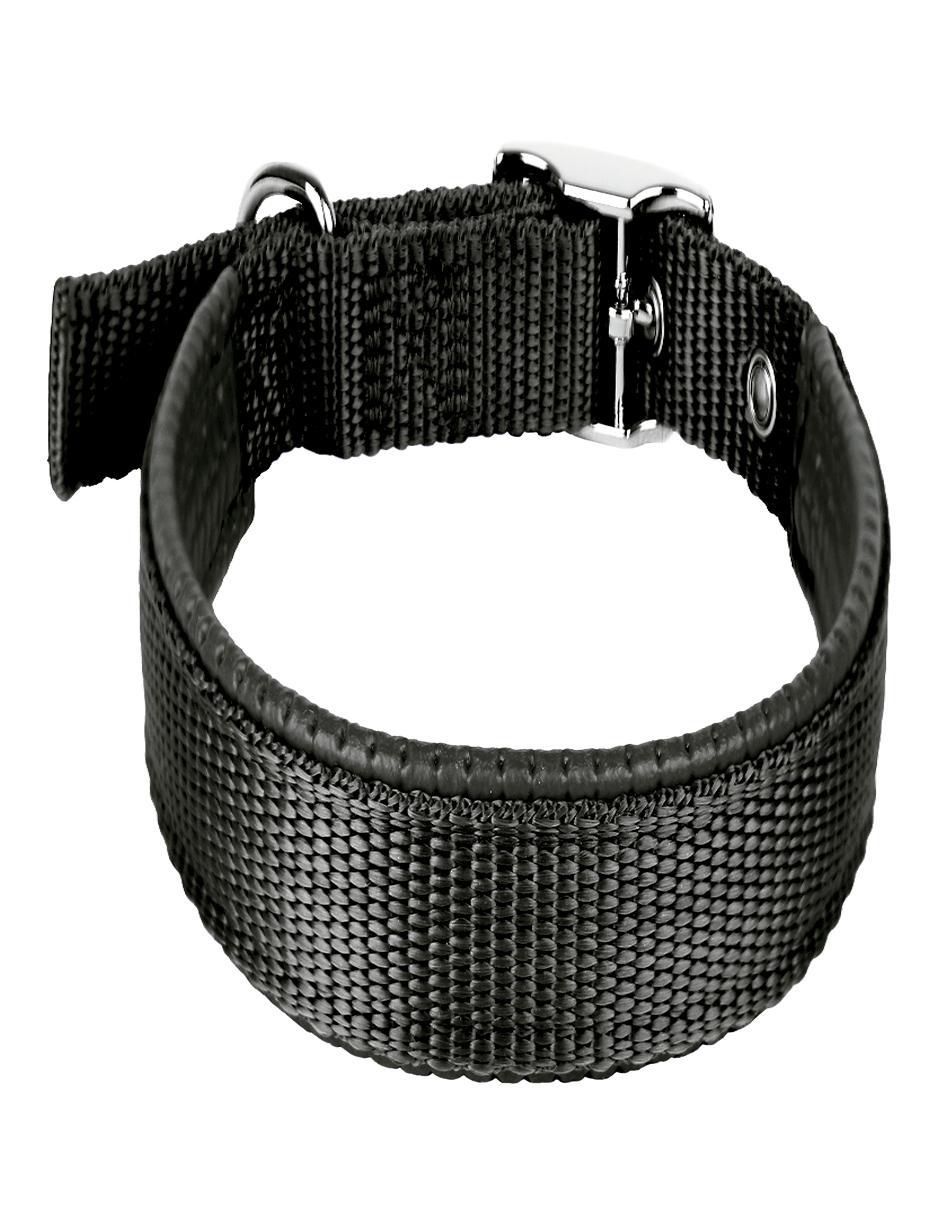 Correa y collar para perro 3