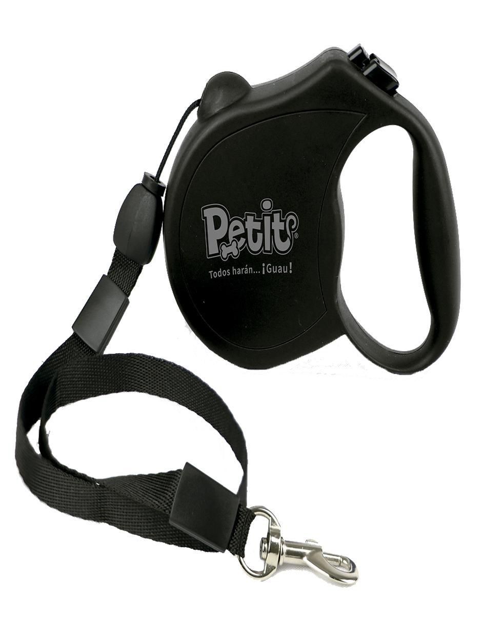 Correa y collar para perro 4