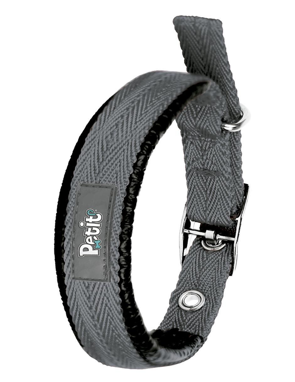 Correa y collar para perro 3