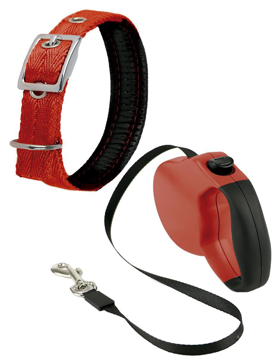 Correa y collar para perro Correa y collar para perro