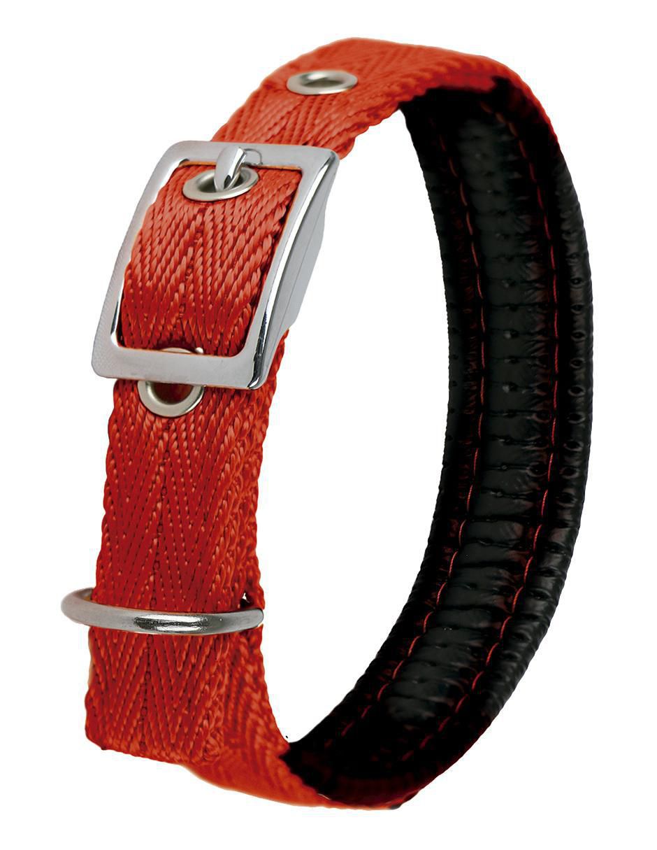 Correa y collar para perro 2