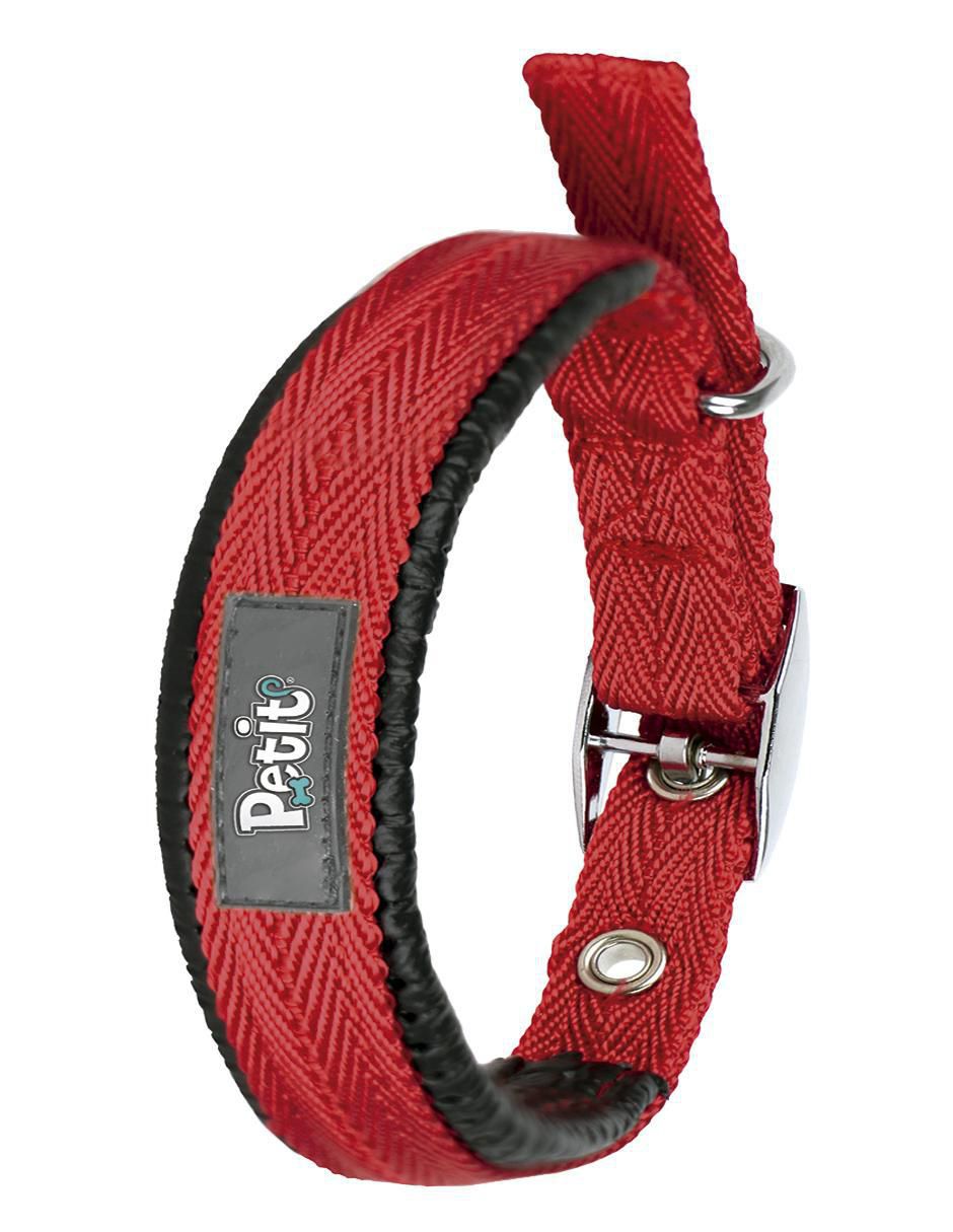 Correa y collar para perro 3