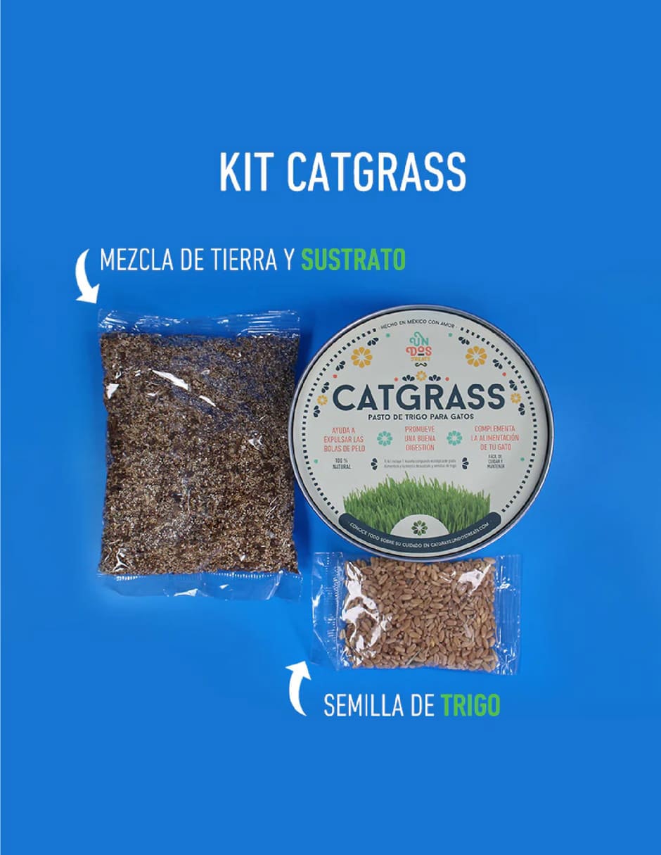 Pasto para gato 3