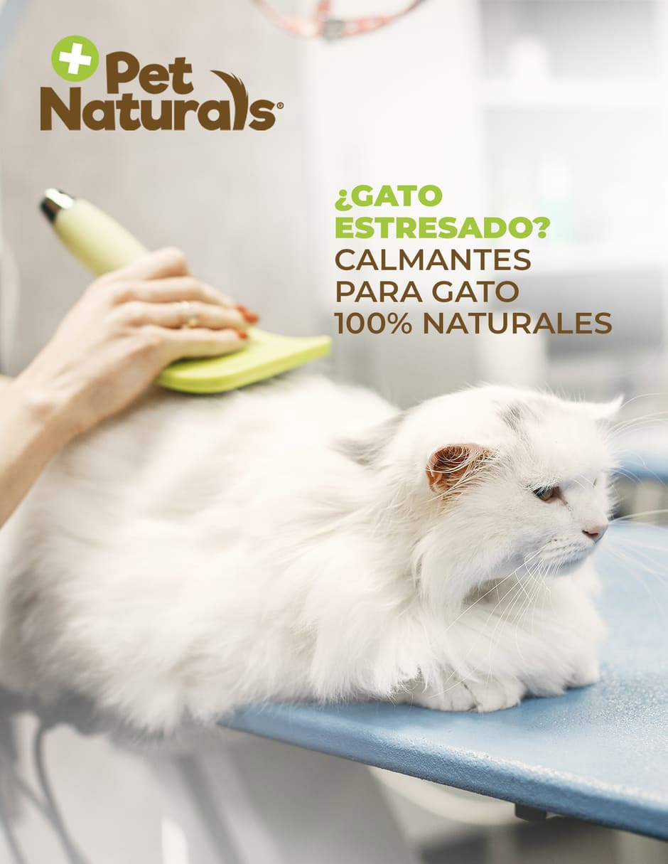 Calmante para mascota para gato 31.5 g 2