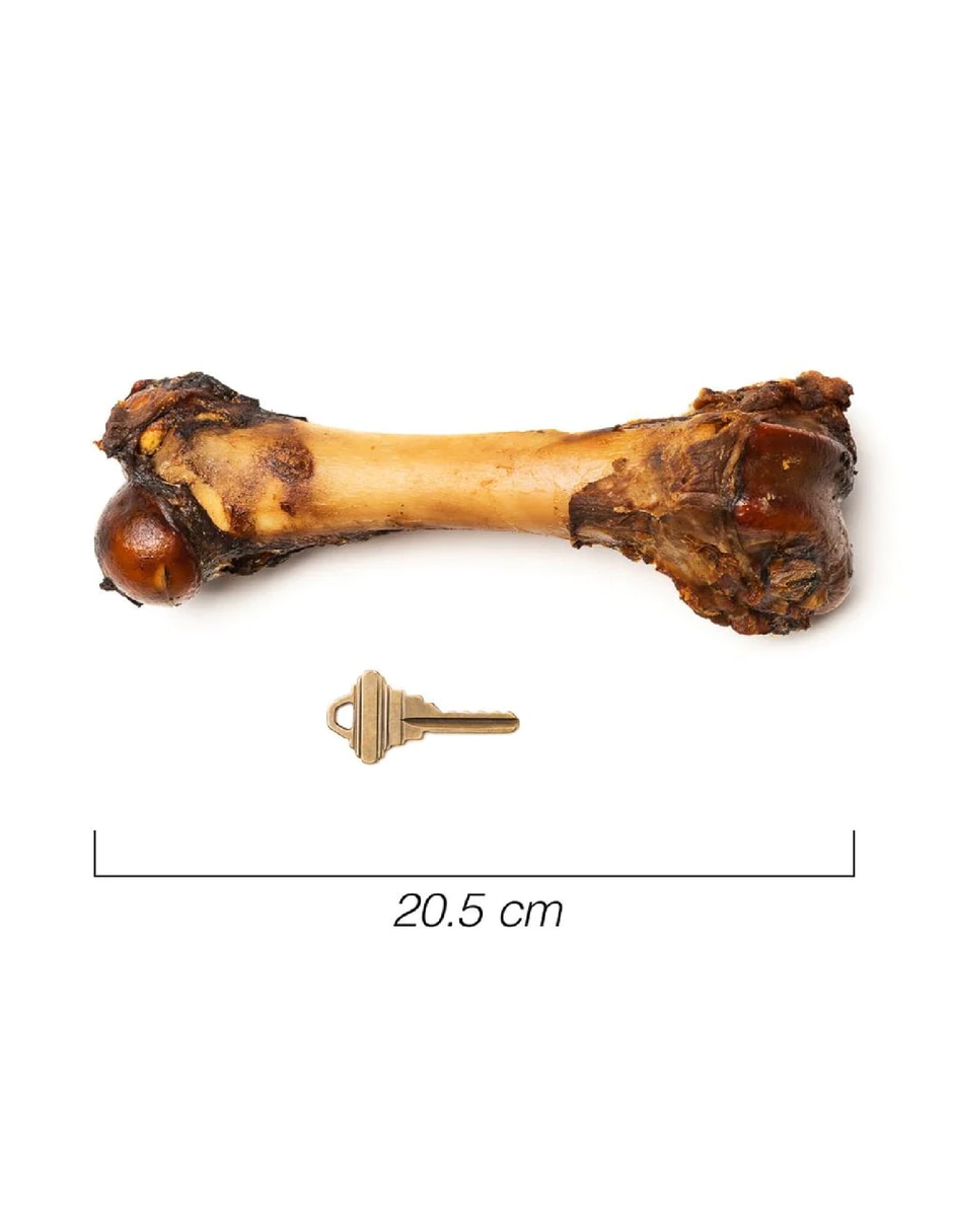 Hueso cuidado dental para perro 5