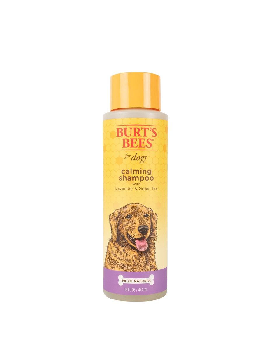 Shampoo para perro