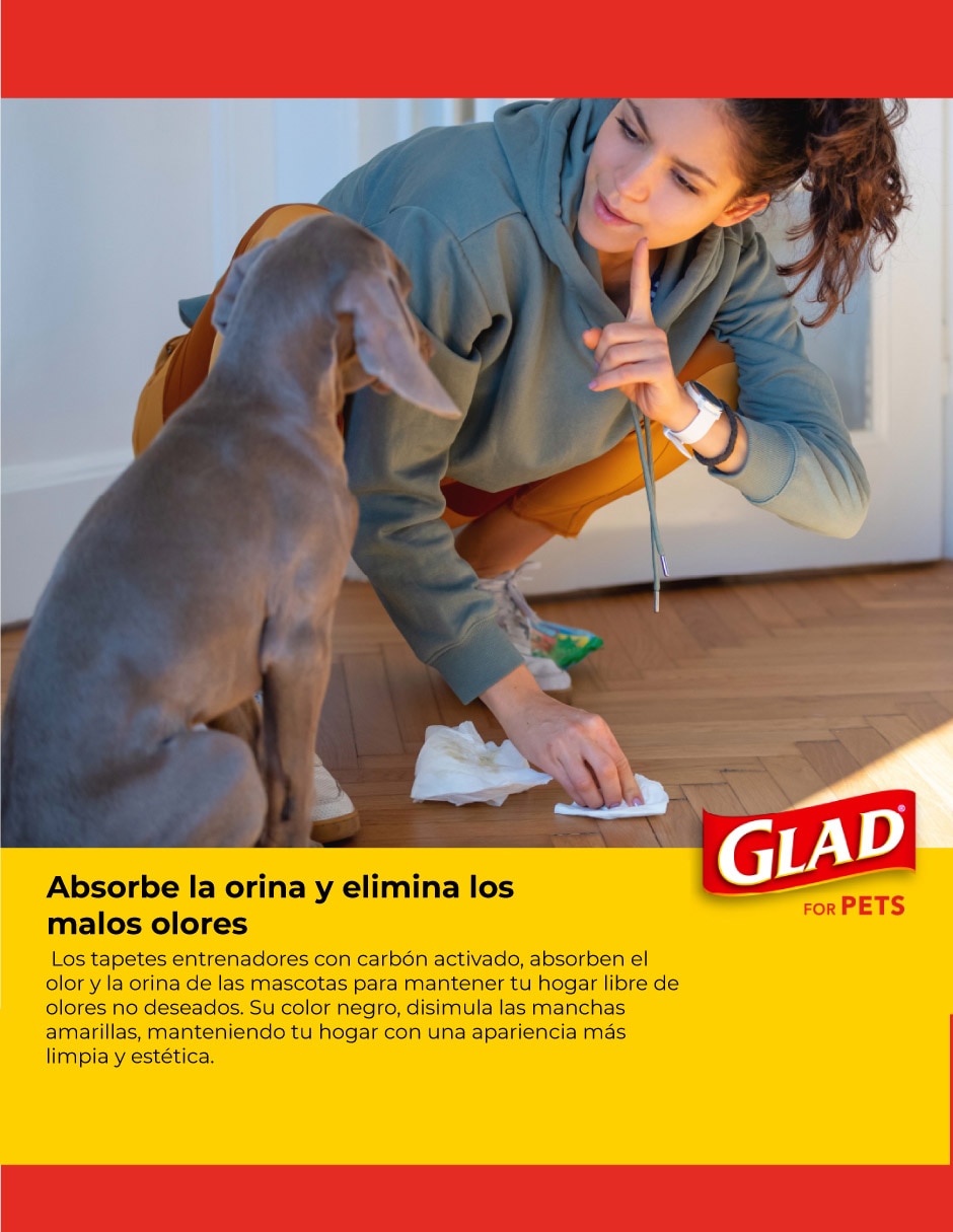Tapete entrenador para perro 6