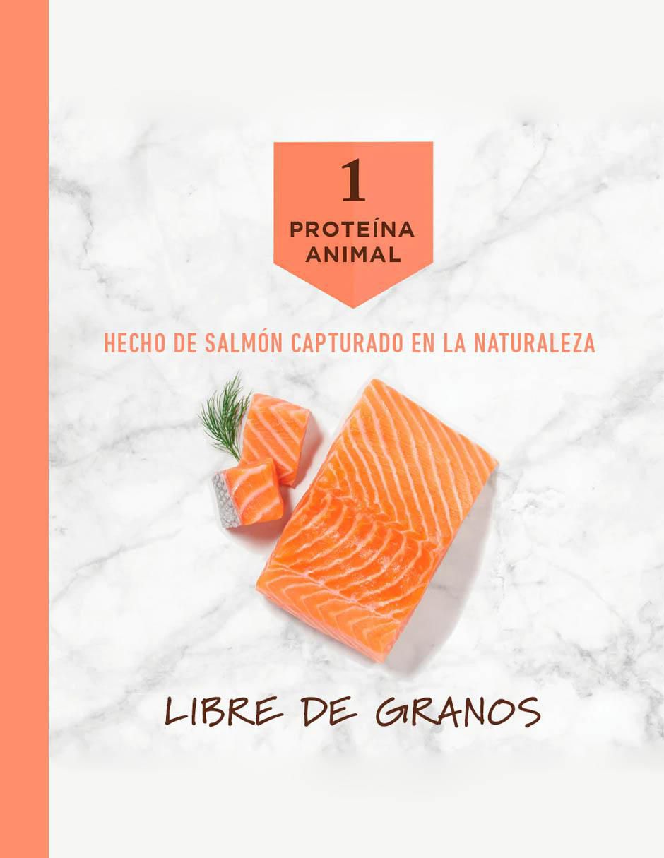 Croqueta de Salmón para perro todas las etapas contenido 9 kg 5