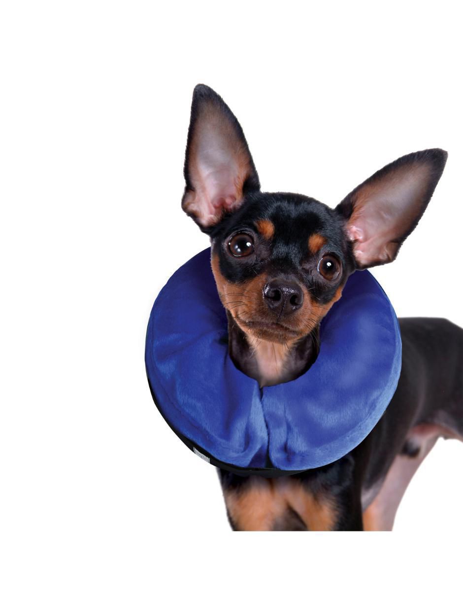 Collar para perro 2