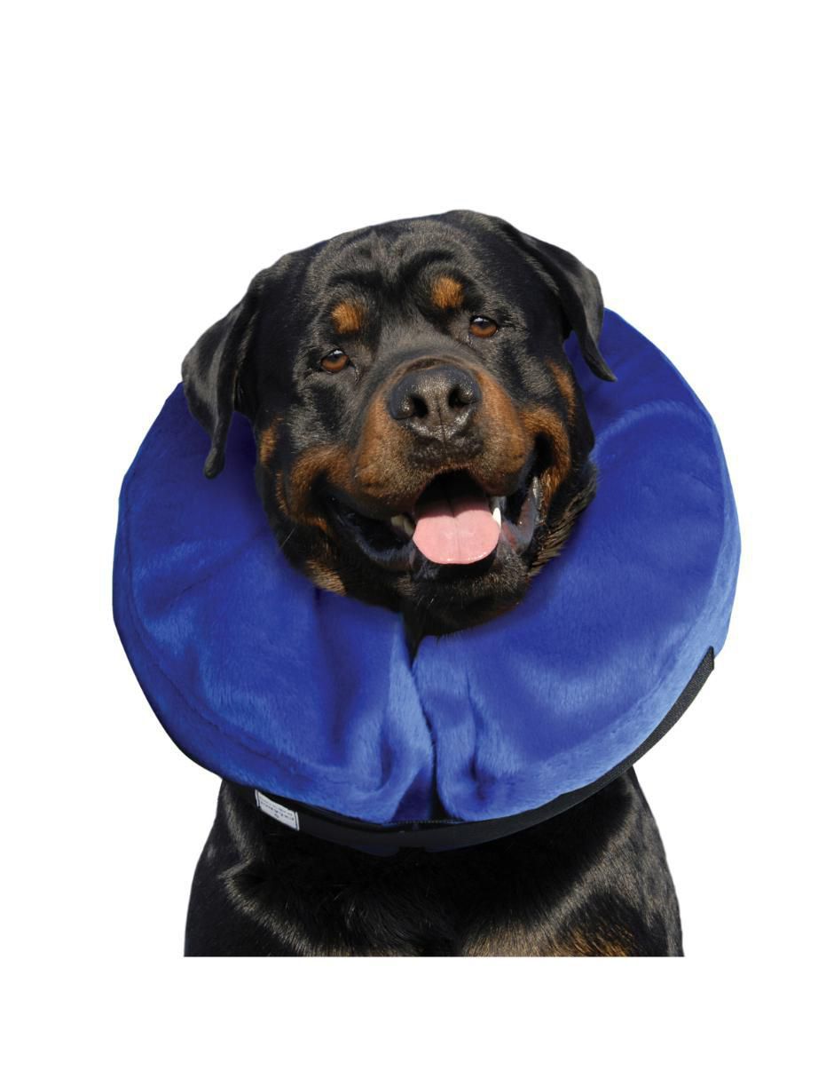 Collar para perro