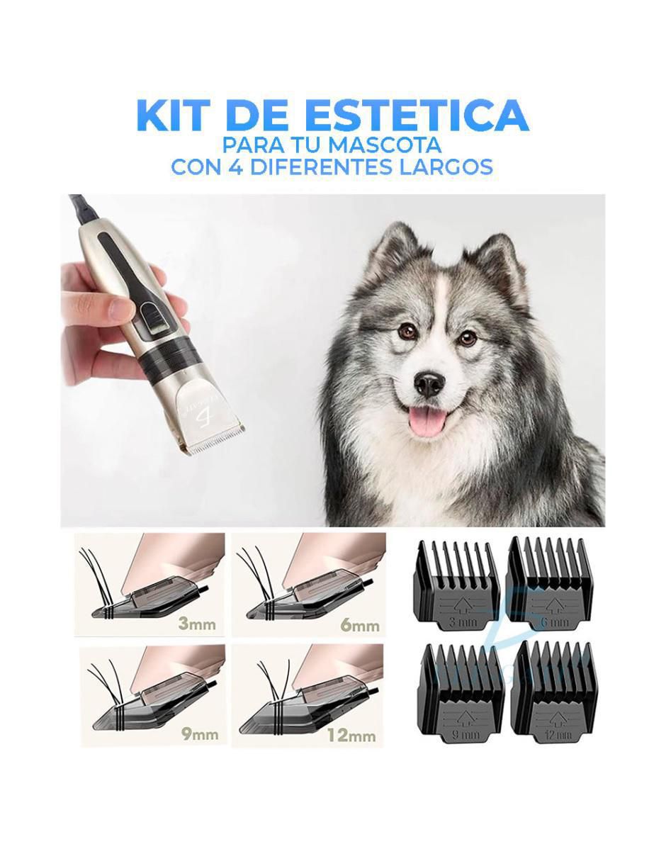 Rasuradora para perro 3