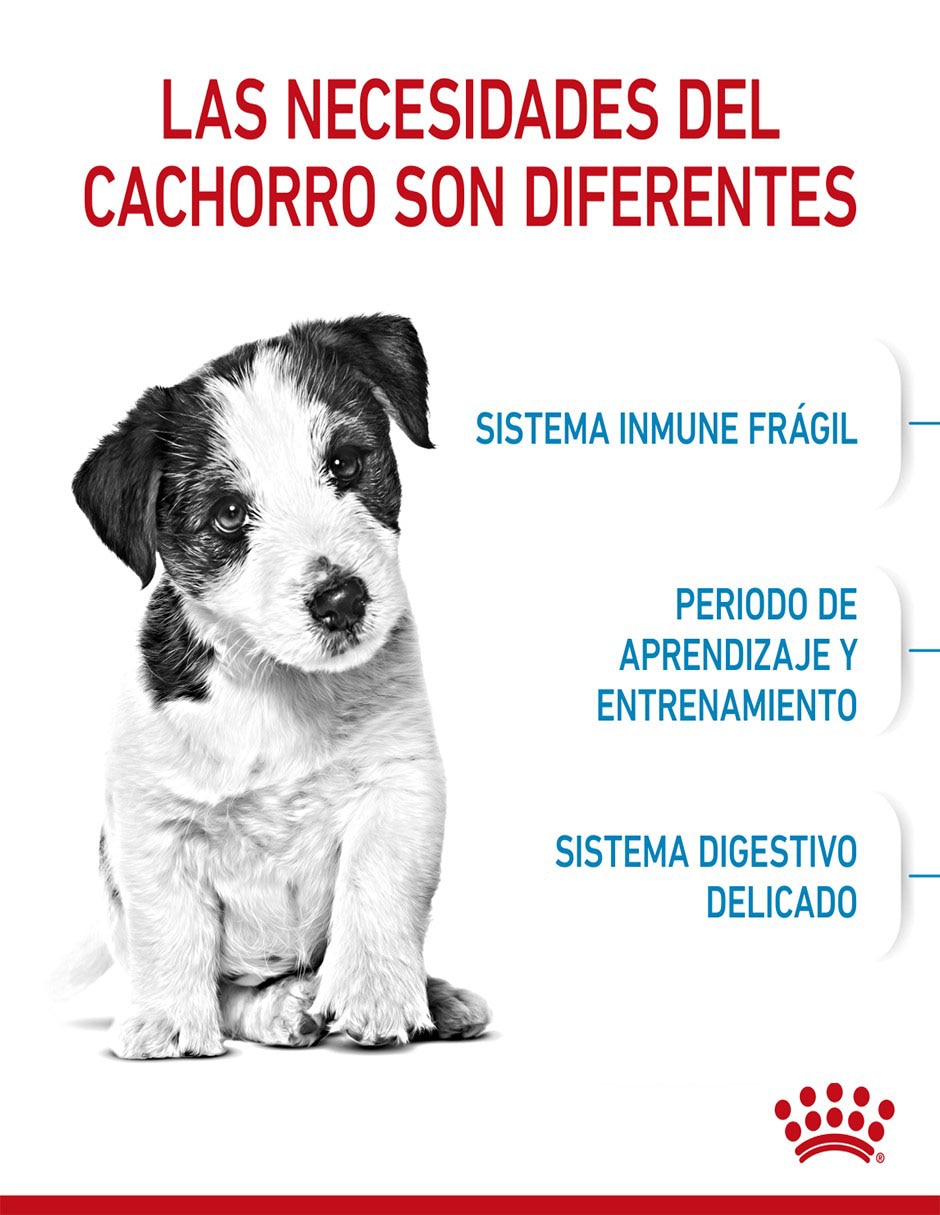 Croqueta de Pollo para perro etapa cachorro Miniatura contenido 6.36 kg 6