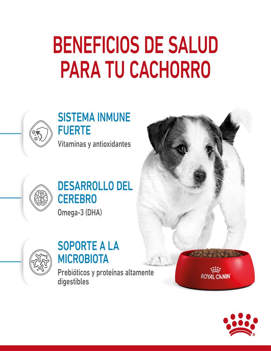 Croqueta de Pollo para perro etapa cachorro Miniatura contenido 6.36 kg 7