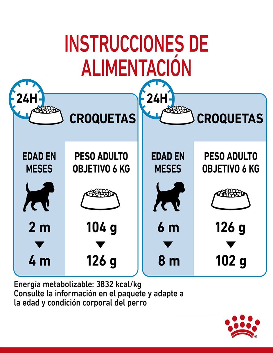 Croqueta de Pollo para perro etapa cachorro Miniatura contenido 6.36 kg 11
