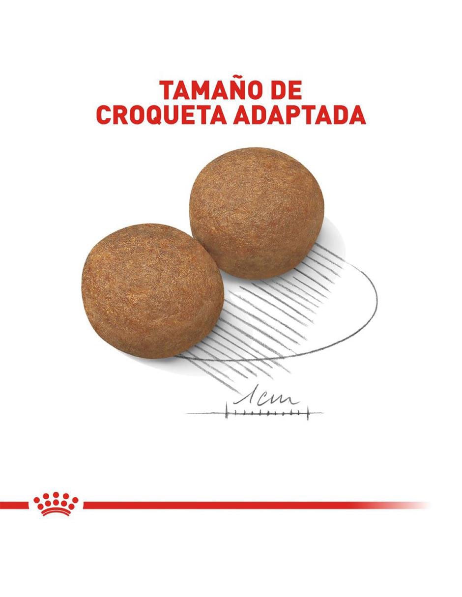 Croqueta de Pollo para perro etapa adulto contenido 13.6 kg 6