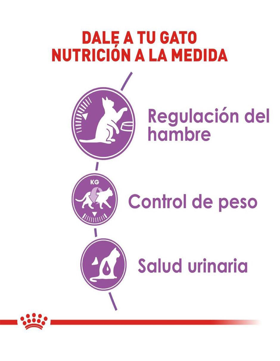Croqueta para gato etapa adulto contenido 6.36 kg 4