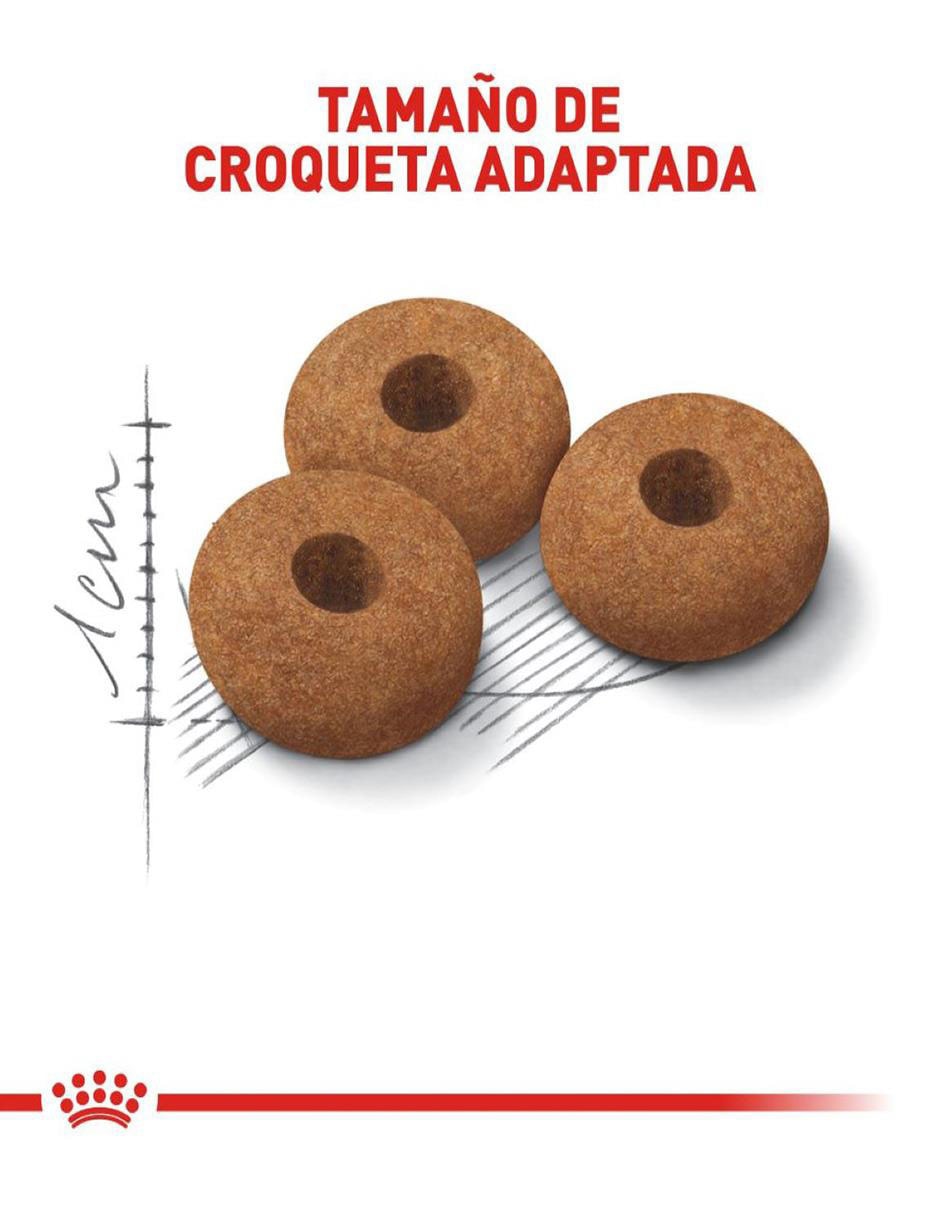Croqueta para gato etapa adulto contenido 6.36 kg 7