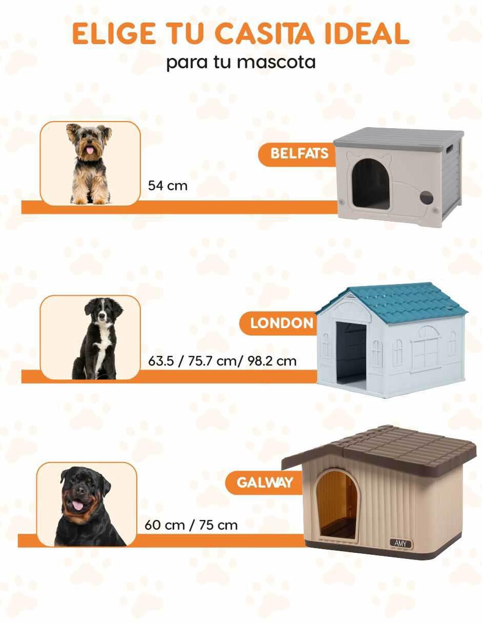 Casa para perro 6