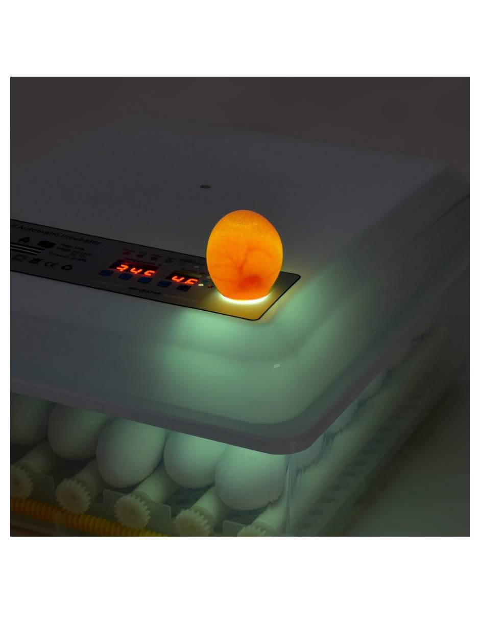 Incubadora para huevos mkz-incuba36hbla 3