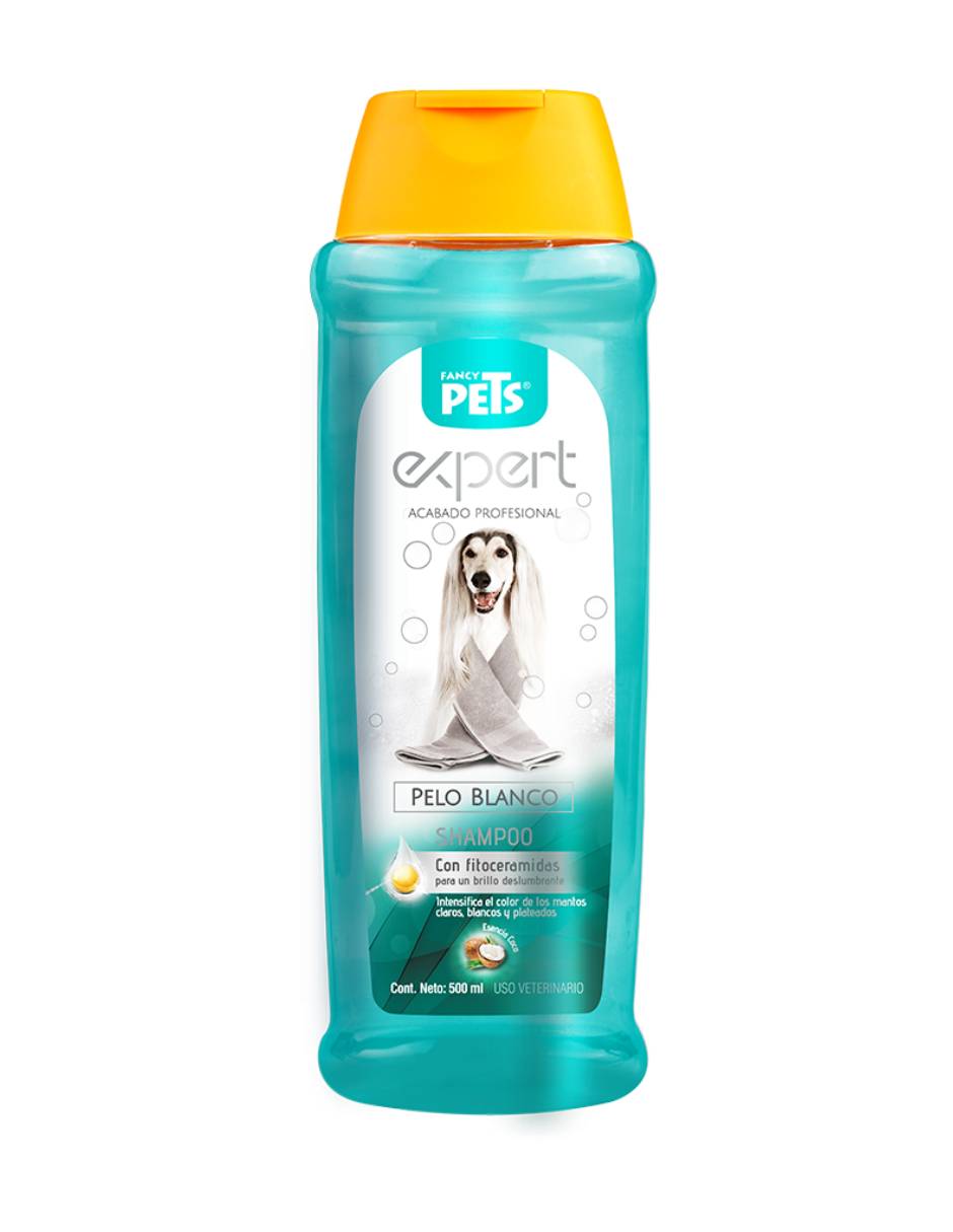 Shampoo Shampoo