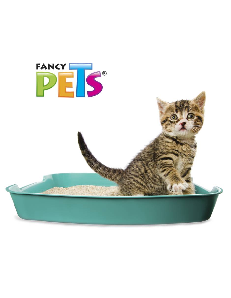 Arena para gato 2