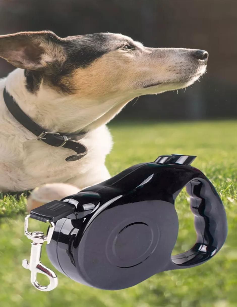 Correa extensible ilios innova "de" plástico "para" perro