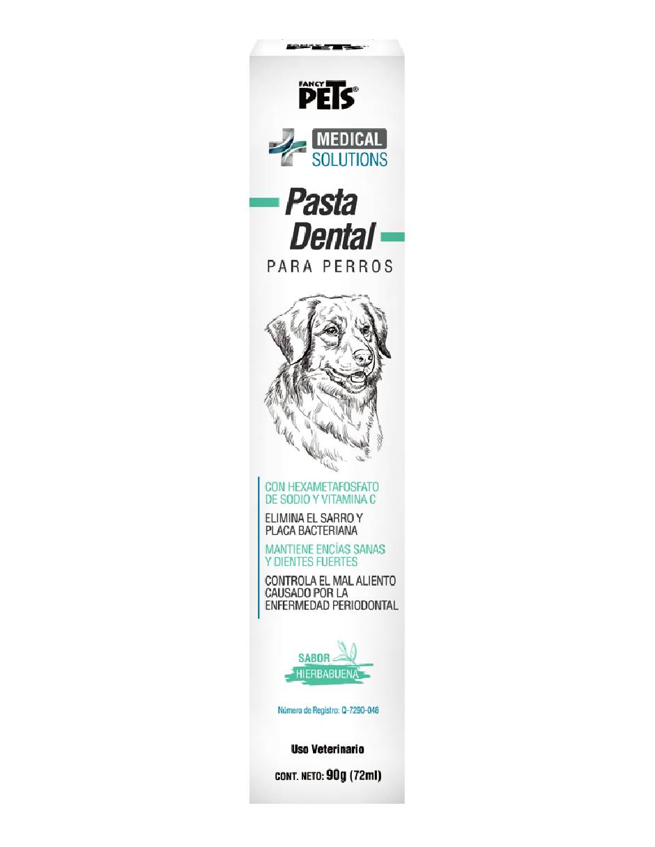 Pasta dental