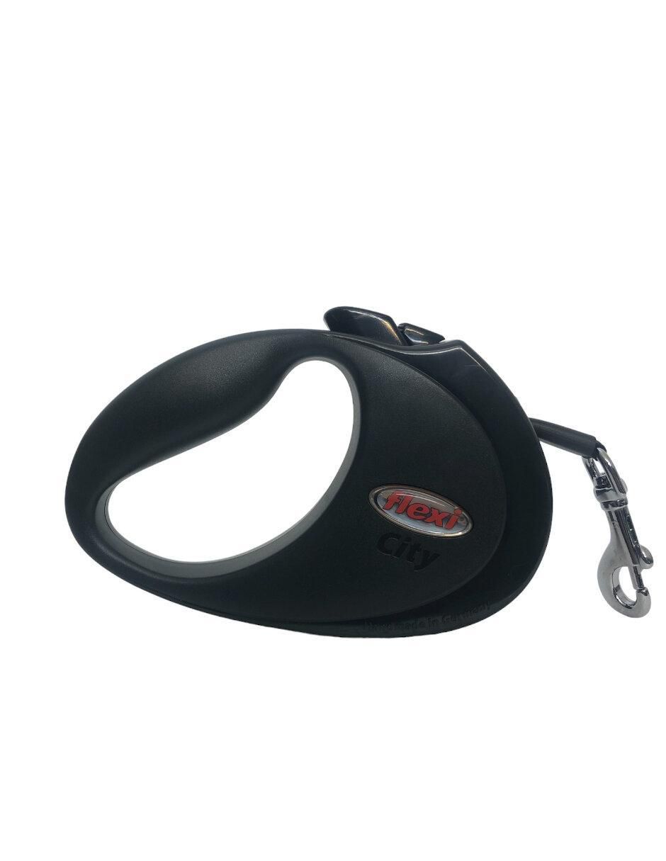 Correa extensible de plástico para perro 2