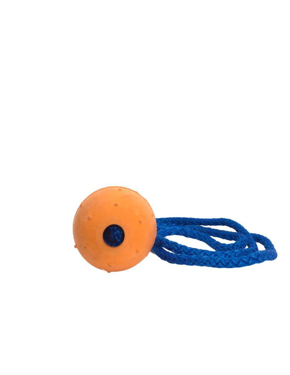 Lanzadora de pelotas para perro 3