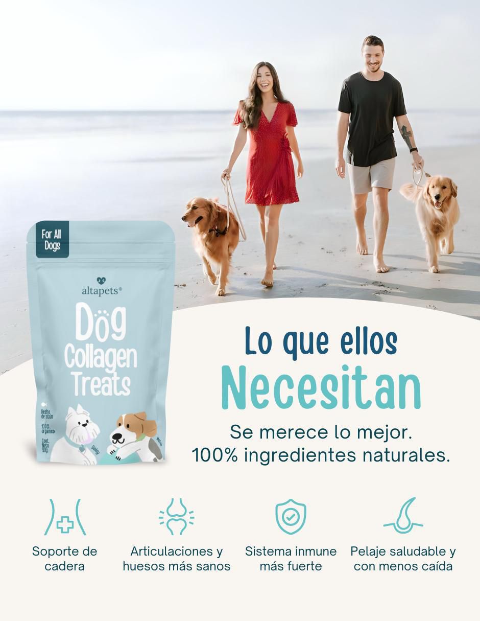 Colágeno para mascotas para perro 2