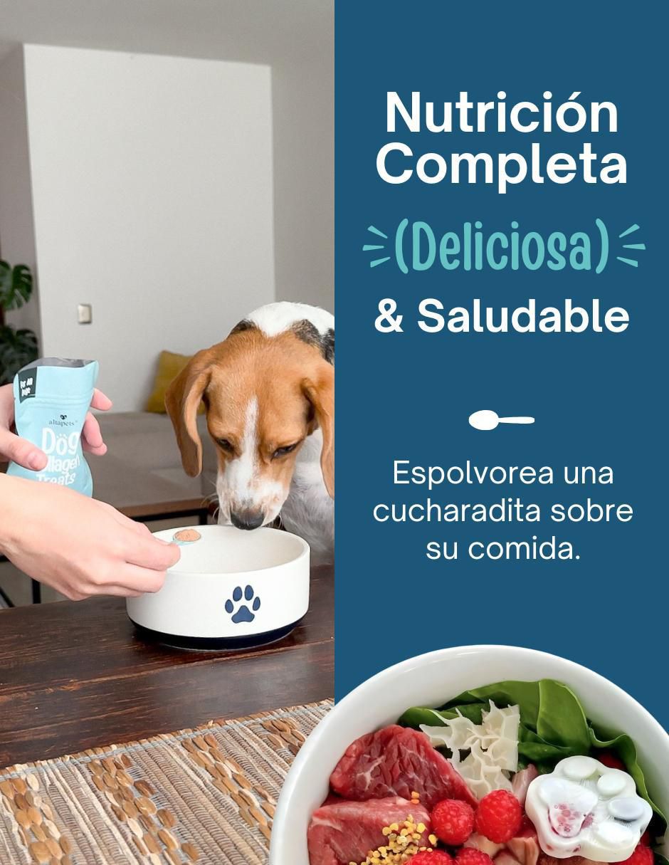 Colágeno para mascotas para perro 3