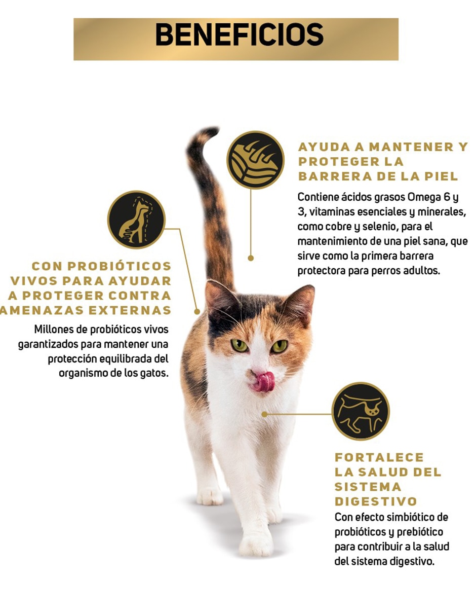 Croqueta de Pavo para gato etapa adulto contenido 3 kg 3