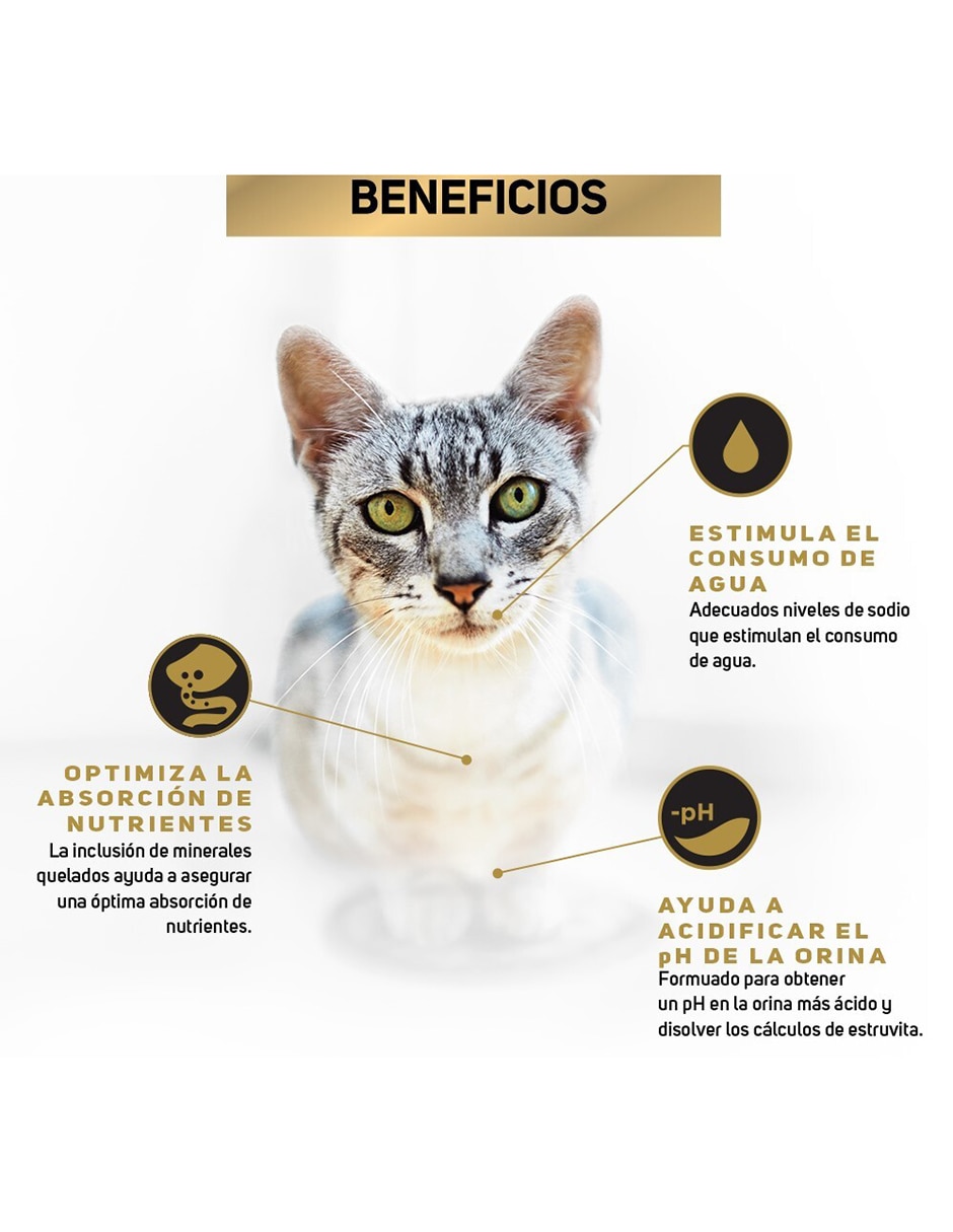 Croqueta de Pollo para gato etapa adulto contenido 1.5 kg 3